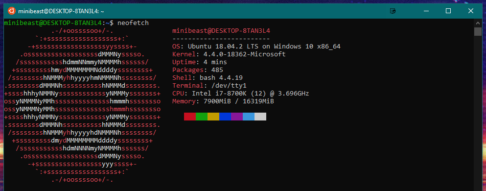 windows-bash-neofetch