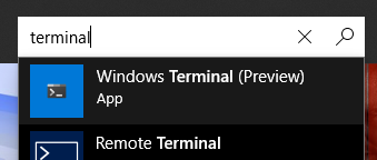 ms-store-terminal-search